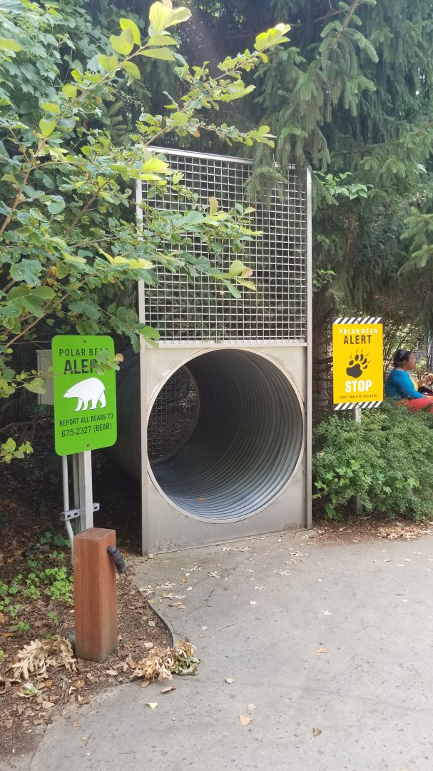 Maryland Zoo - Polar Bear Watch, bear trap