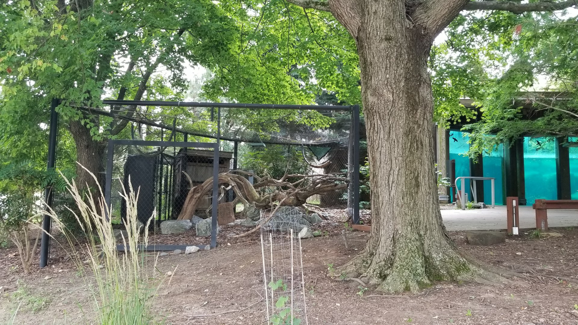 Maryland Zoo - Polar Bear Watch, former raven exhibit