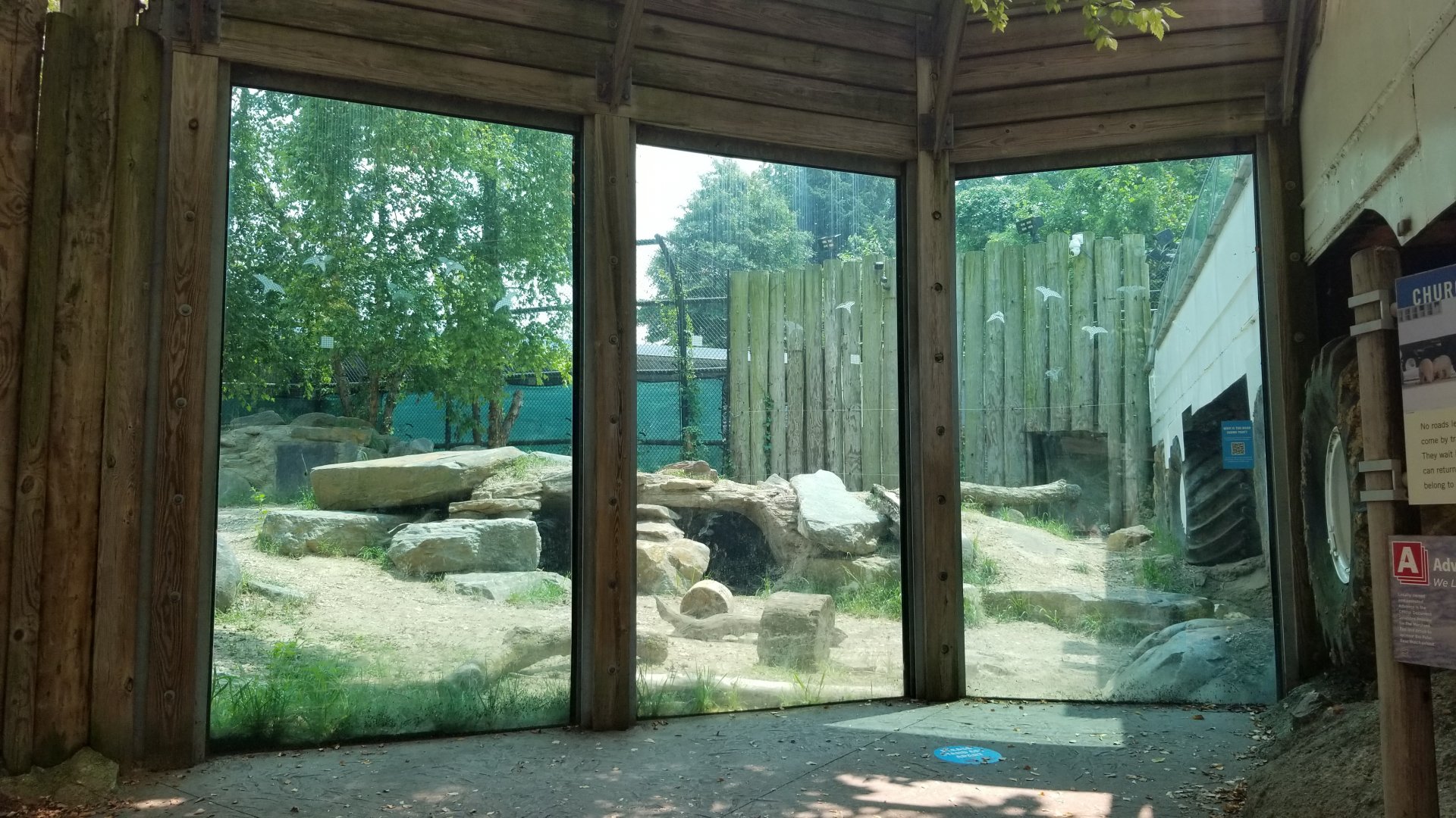 Maryland Zoo - Polar Bear Watch