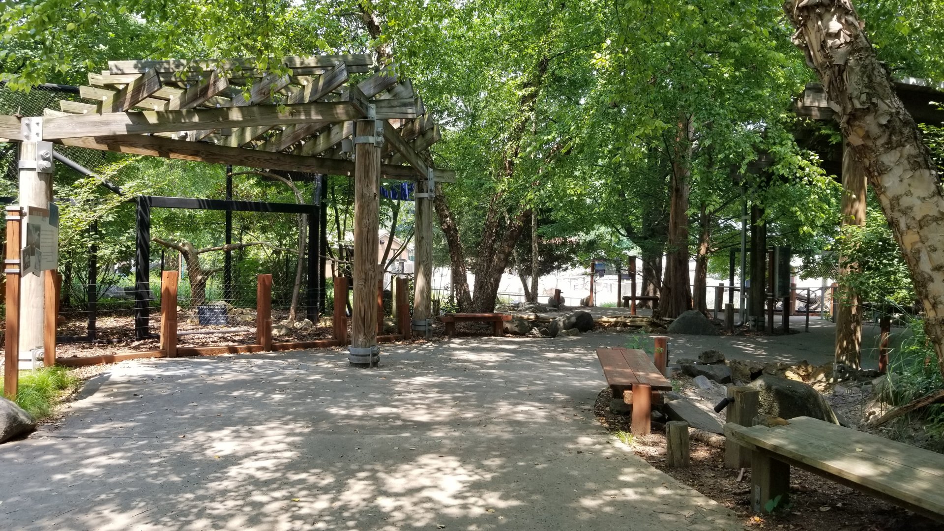 Maryland Zoo - Polar Bear Watch