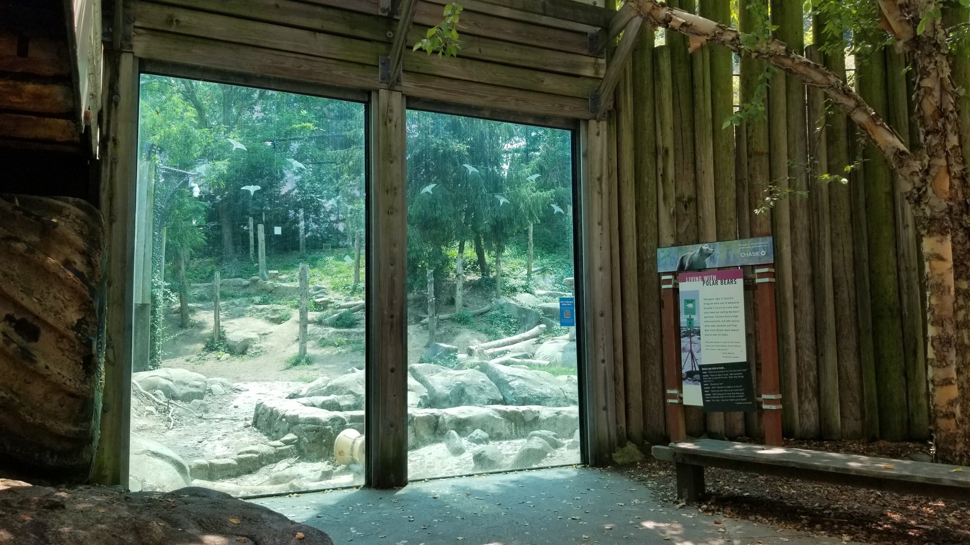 Maryland Zoo - Polar Bear Watch