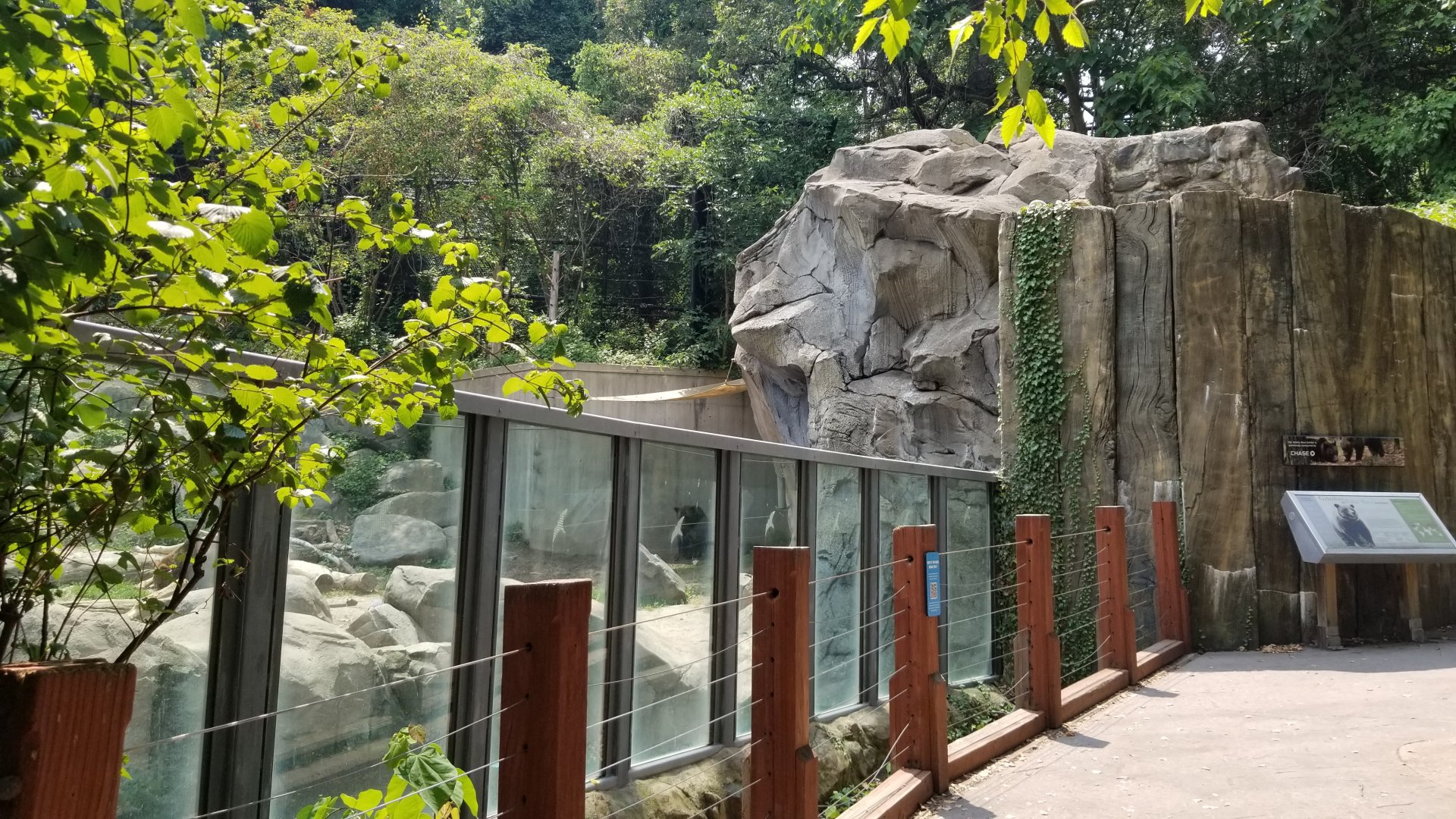 Maryland Zoo - Polar Bear Watch