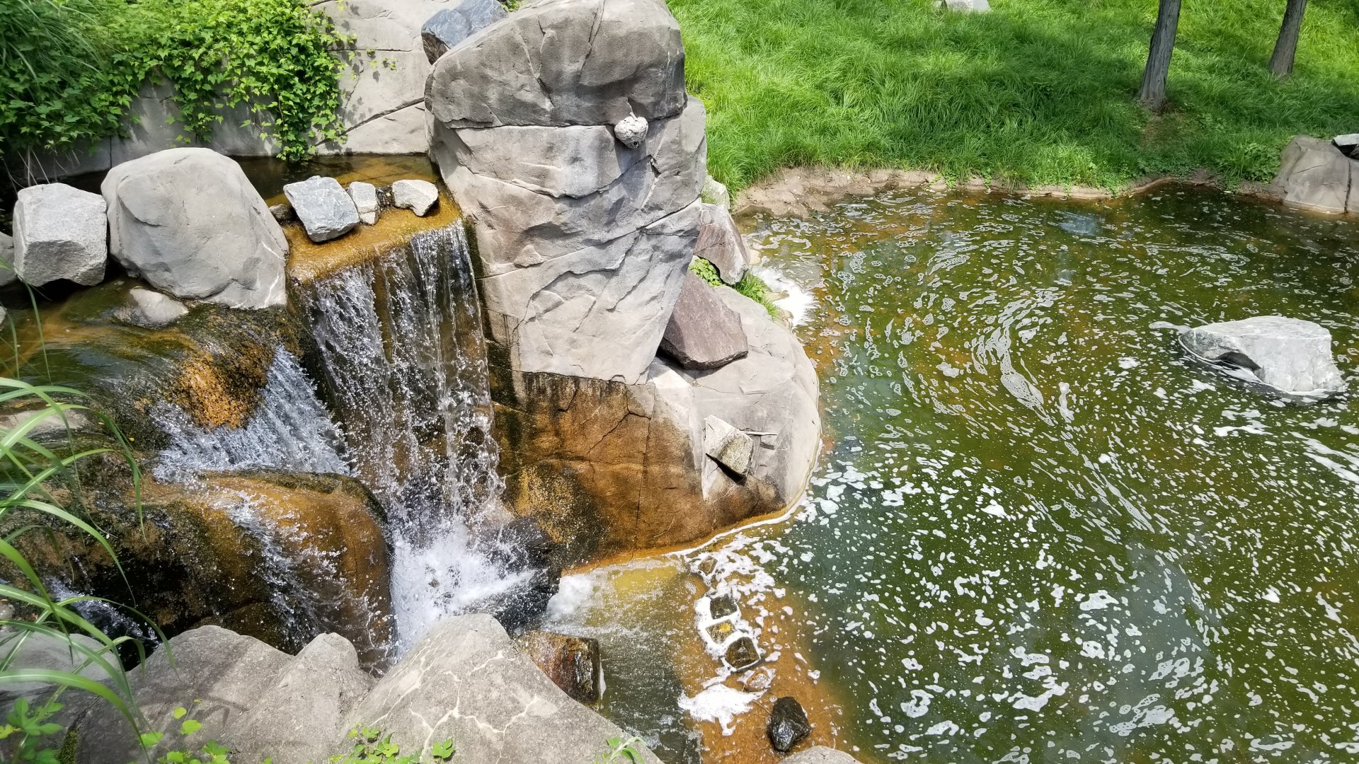 Maryland Zoo - Sitatunga