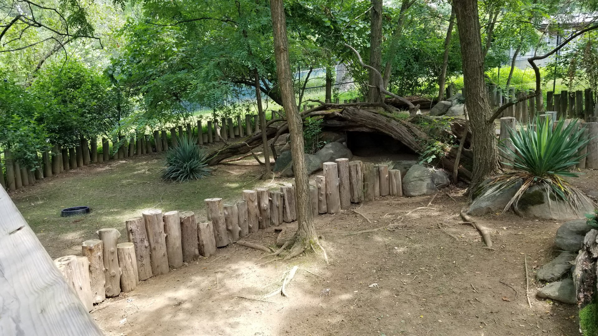 Maryland Zoo - Tortoises