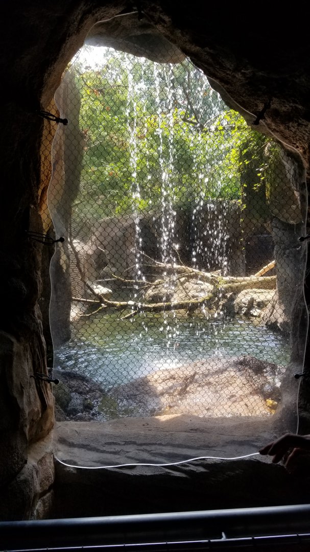Maryland Zoo - View into bobcat area from behind waterfall
