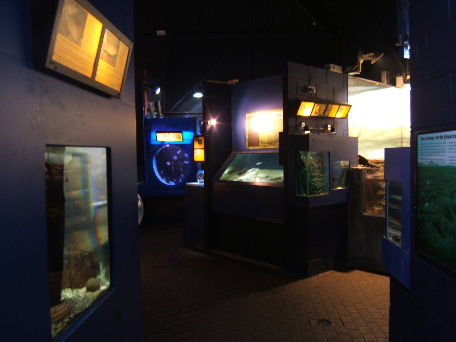 Maryport Aquarium
