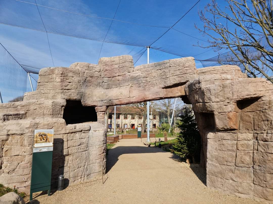 Marys Australian Walkthrough Garden Arc