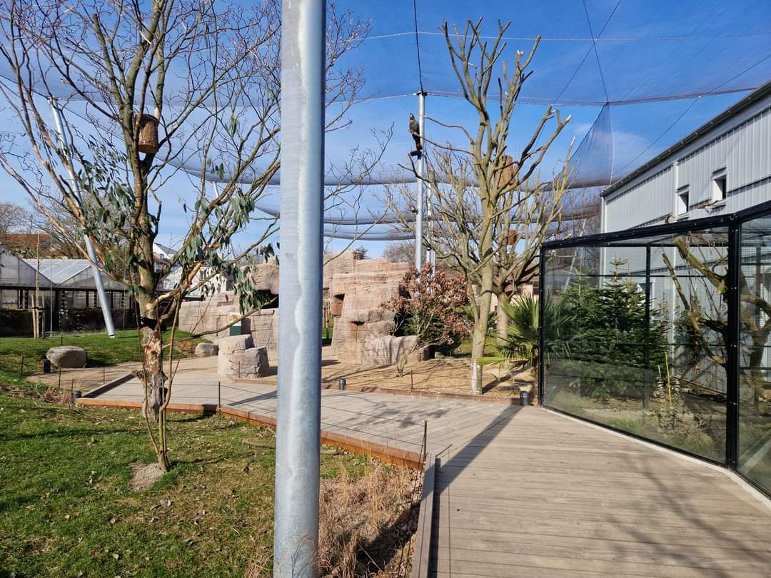 Marys Australian Walkthrough Garden  path