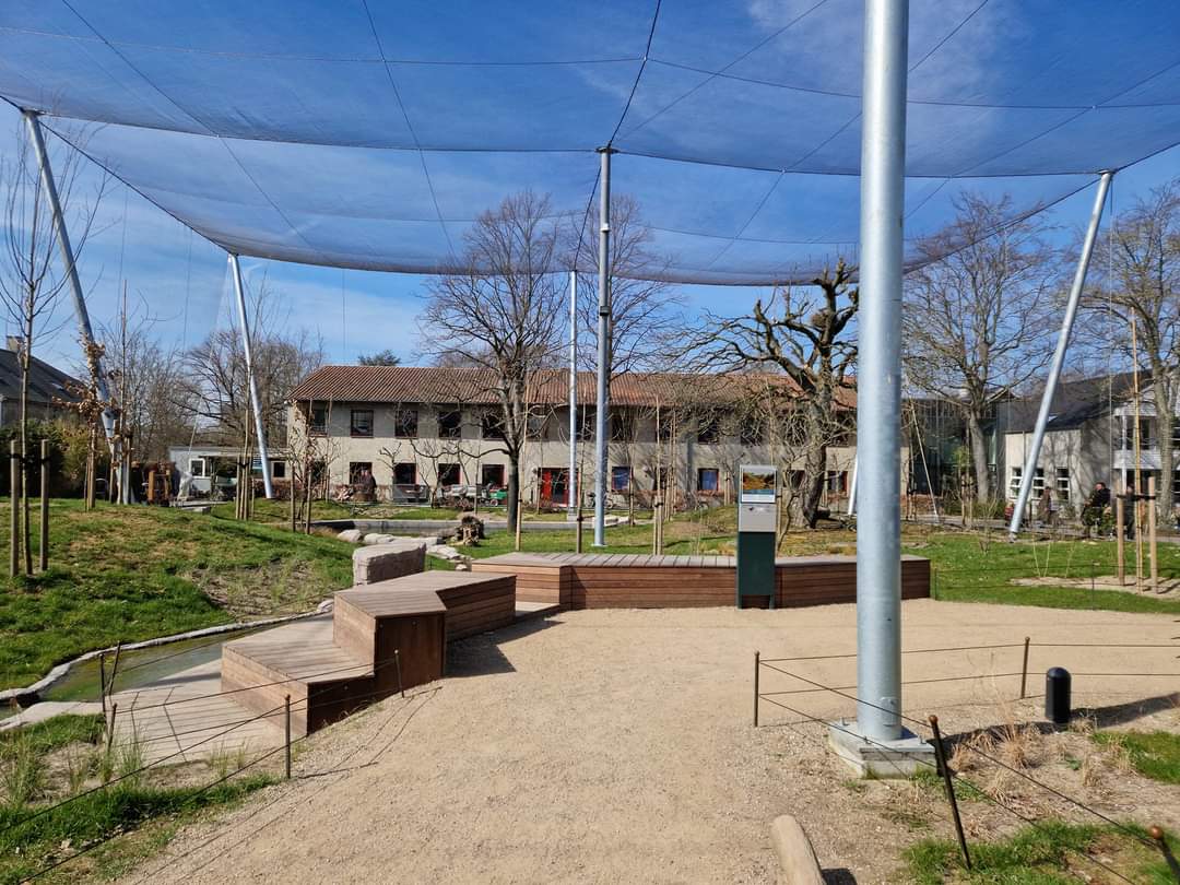 Marys Australian Walkthrough Garden rare part