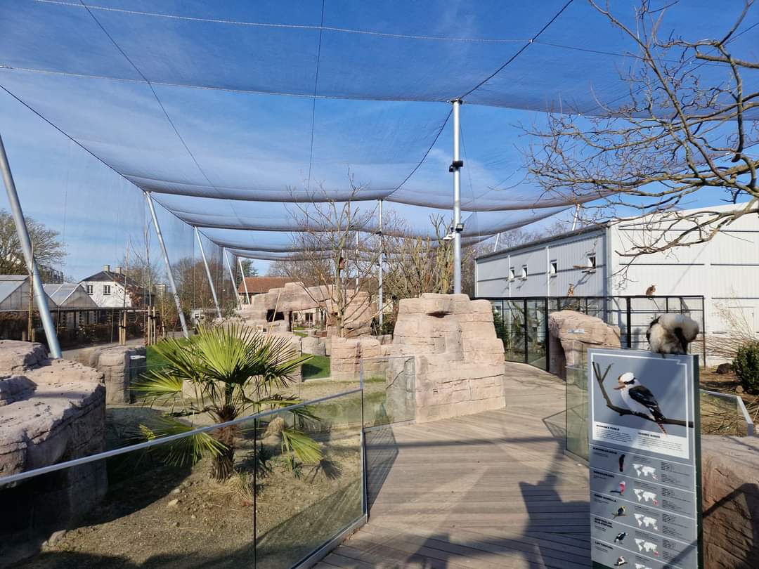 Marys Australian Walkthrough Garden