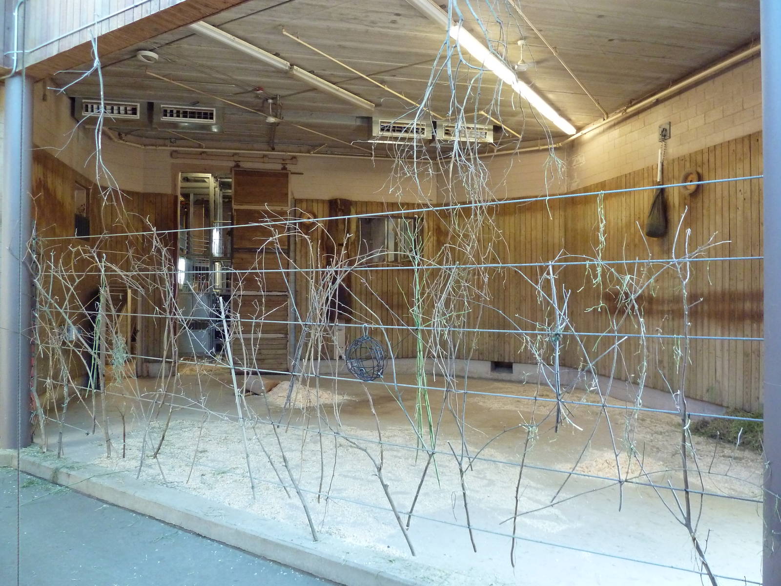 Masai Giraffe Exhibit - Barn