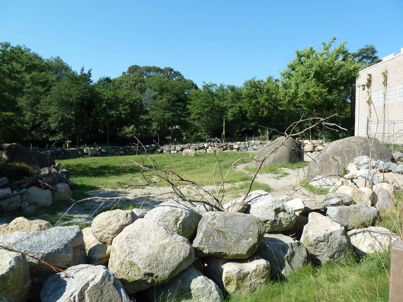 Masai Giraffe Exhibit