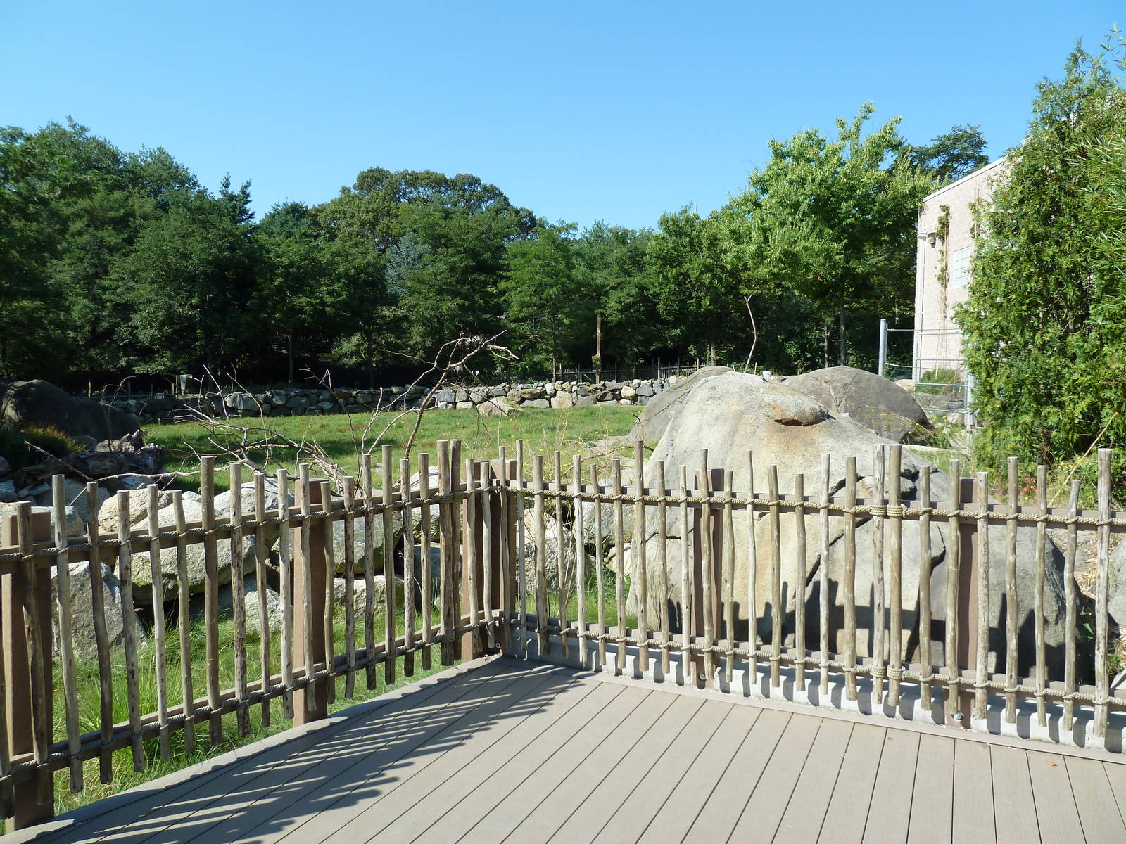 Masai Giraffe Exhibit