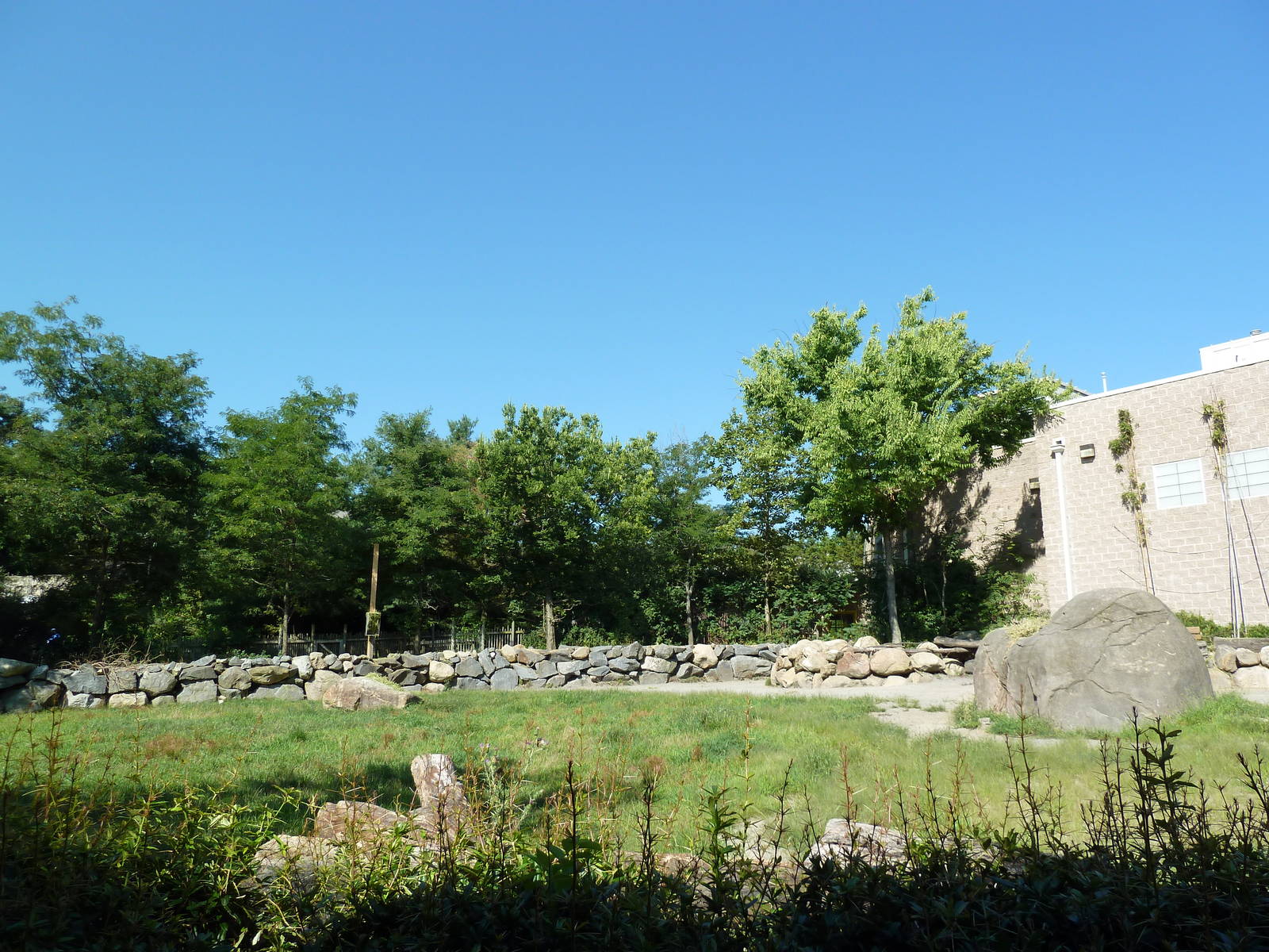 Masai Giraffe Exhibit