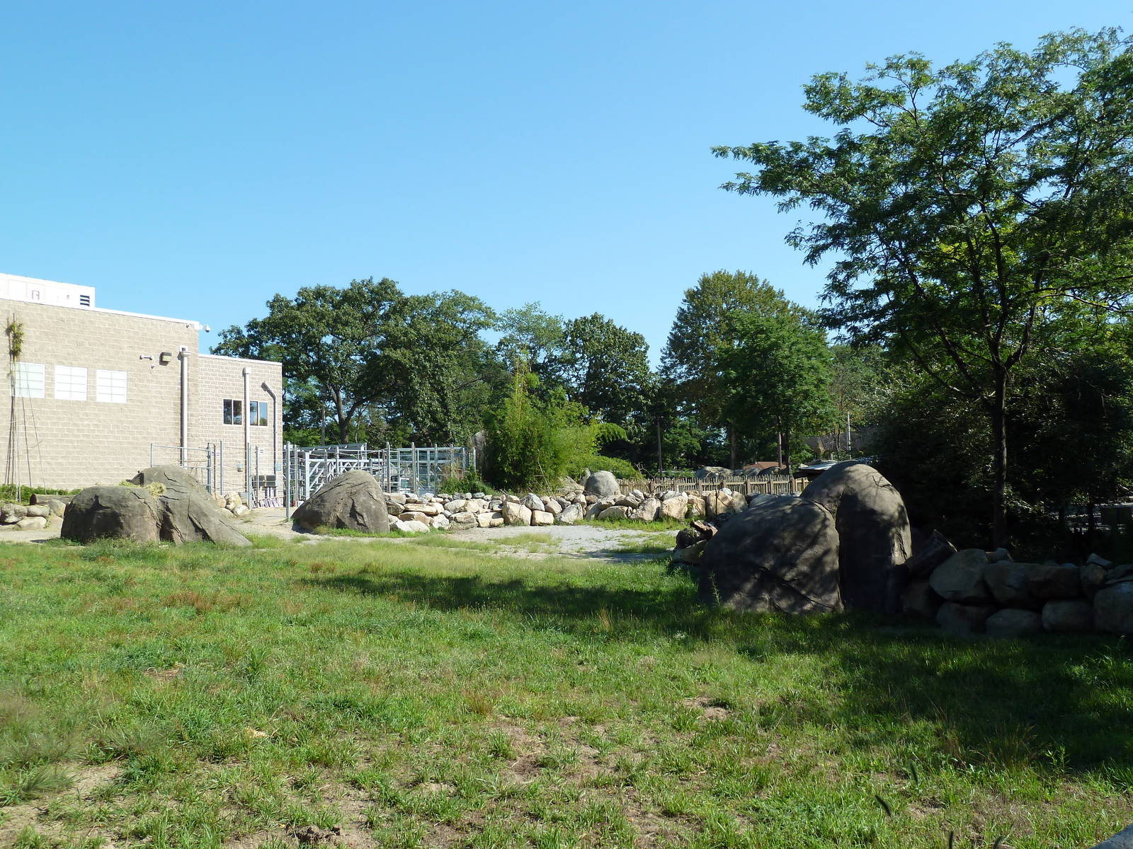 Masai Giraffe Exhibit