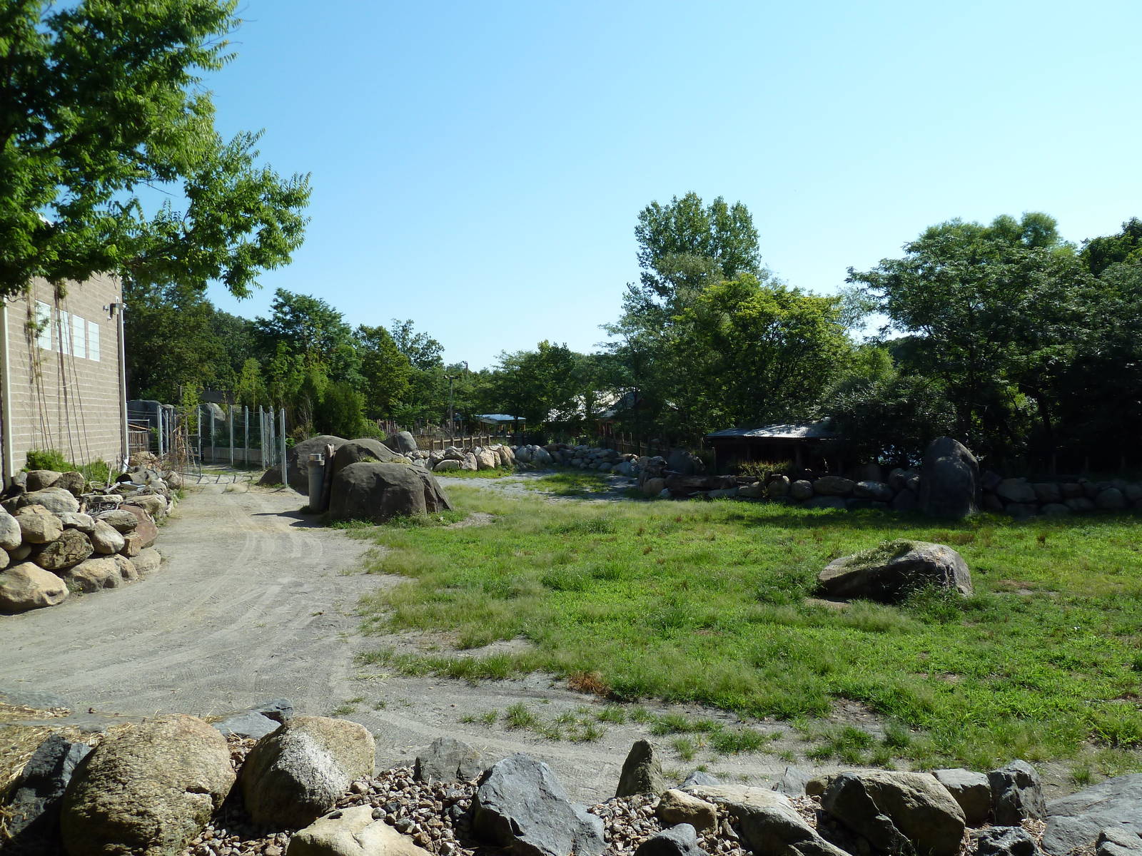 Masai Giraffe Exhibit