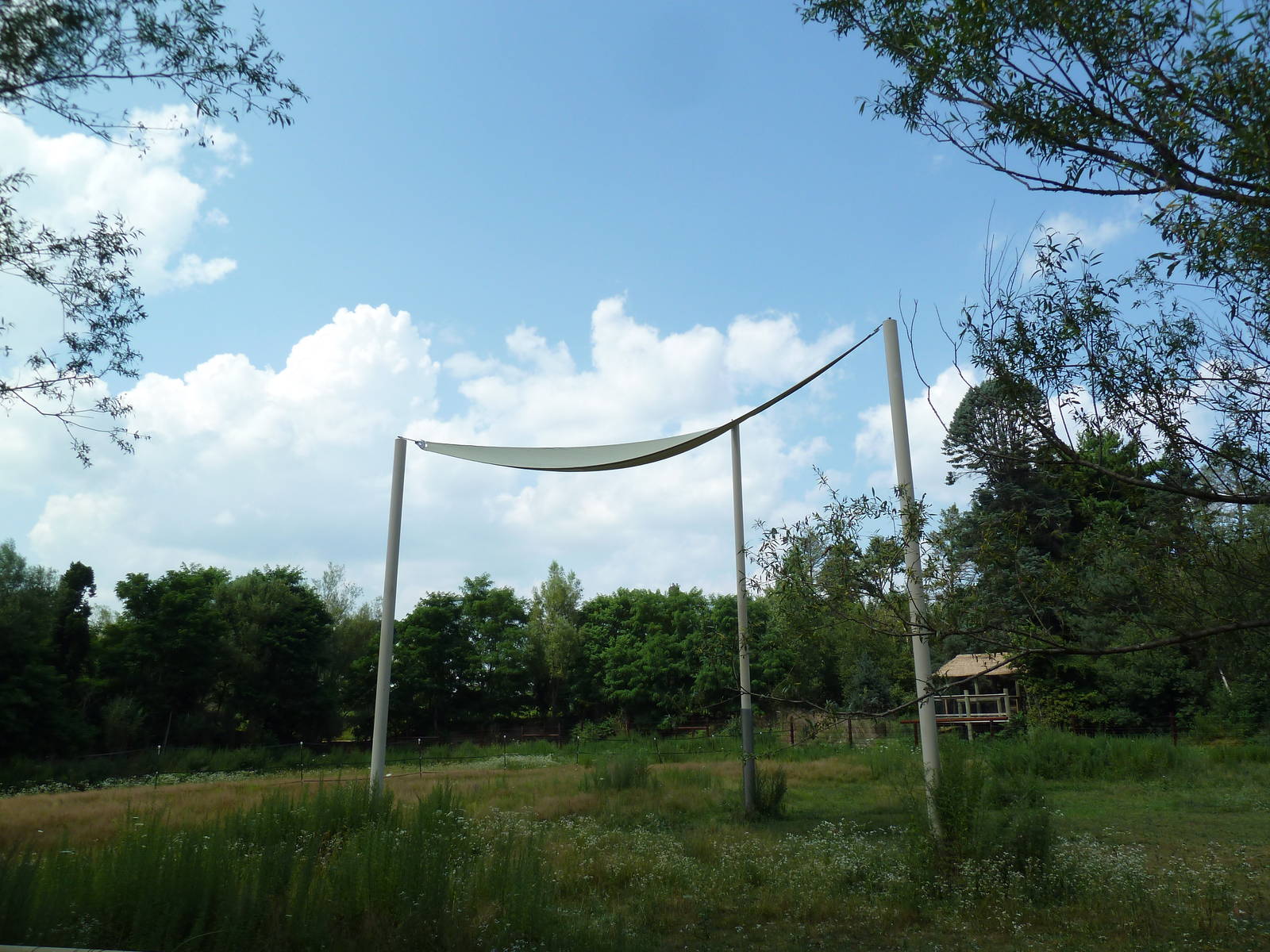 Masai Giraffe/Grevy's Zebra Exhibit