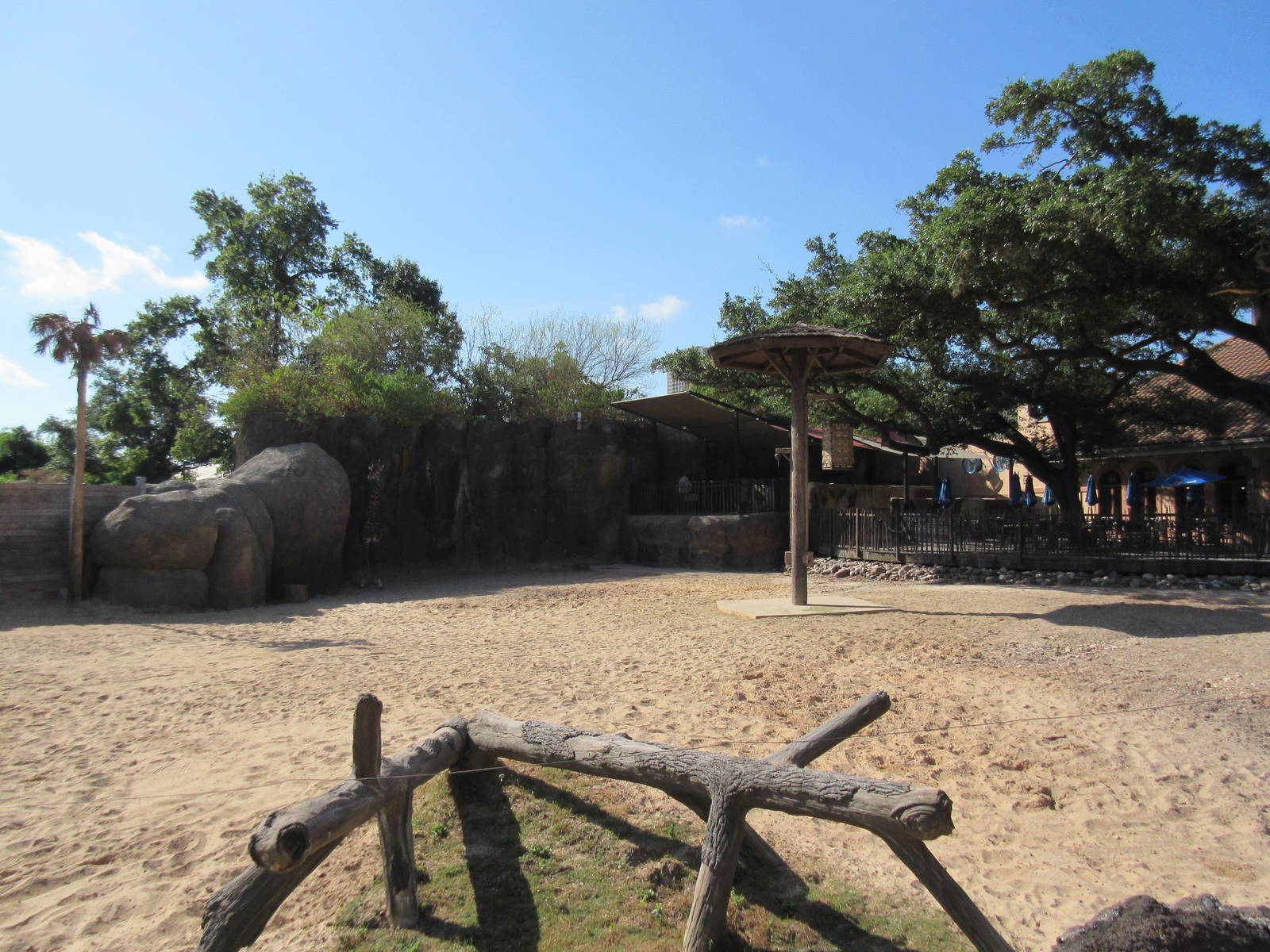 Masai Giraffe/Ostrich/Grant's Zebra Exhibit