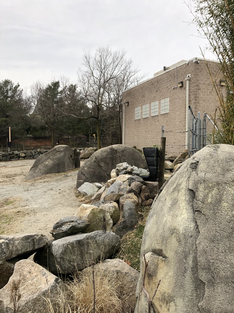 Masai Giraffe Viewing Platform (Right) - Feb, 2020