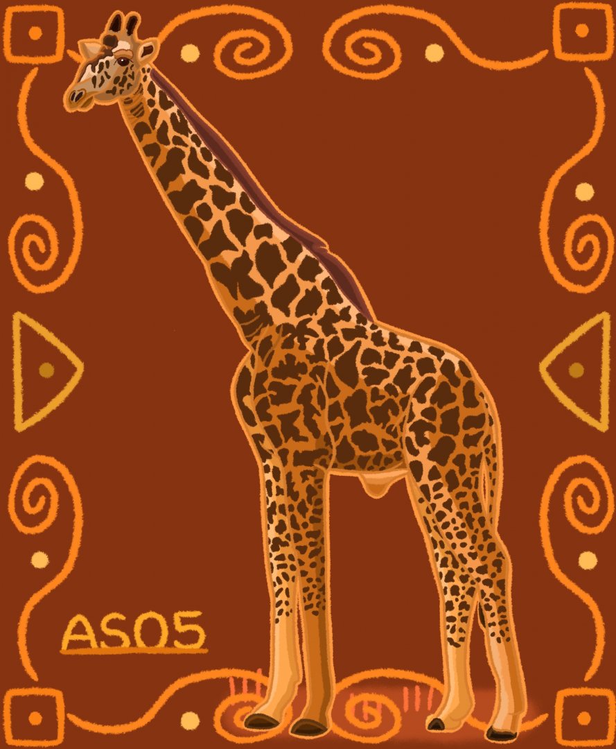 Masai Giraffe