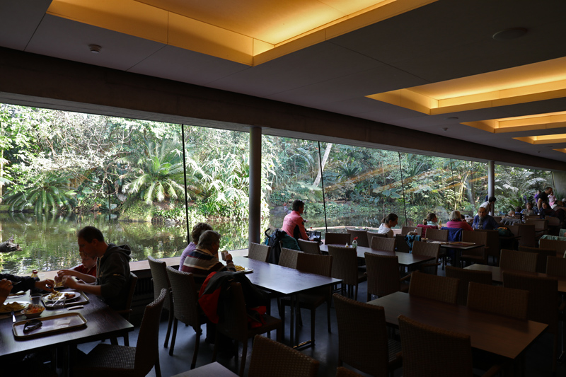 Masaola Restaurant (from inside)