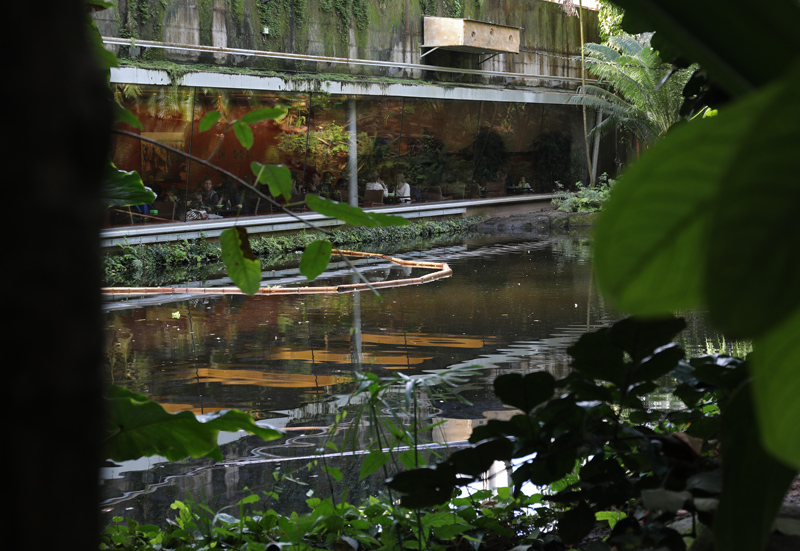 Masaola Restaurant (from outside)