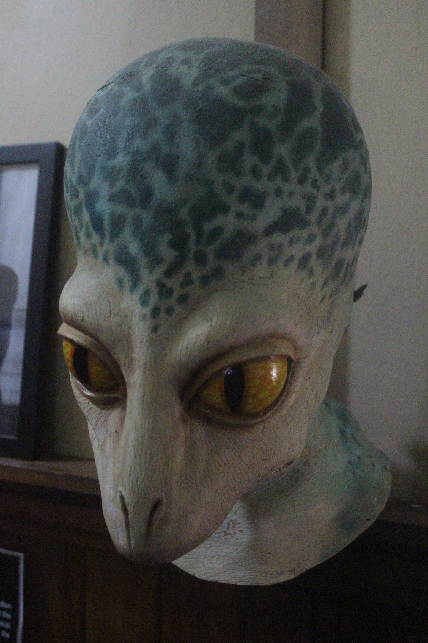 Mask of Dale Russell's Dinosauroid, The Dinosaur House (Raetihi)