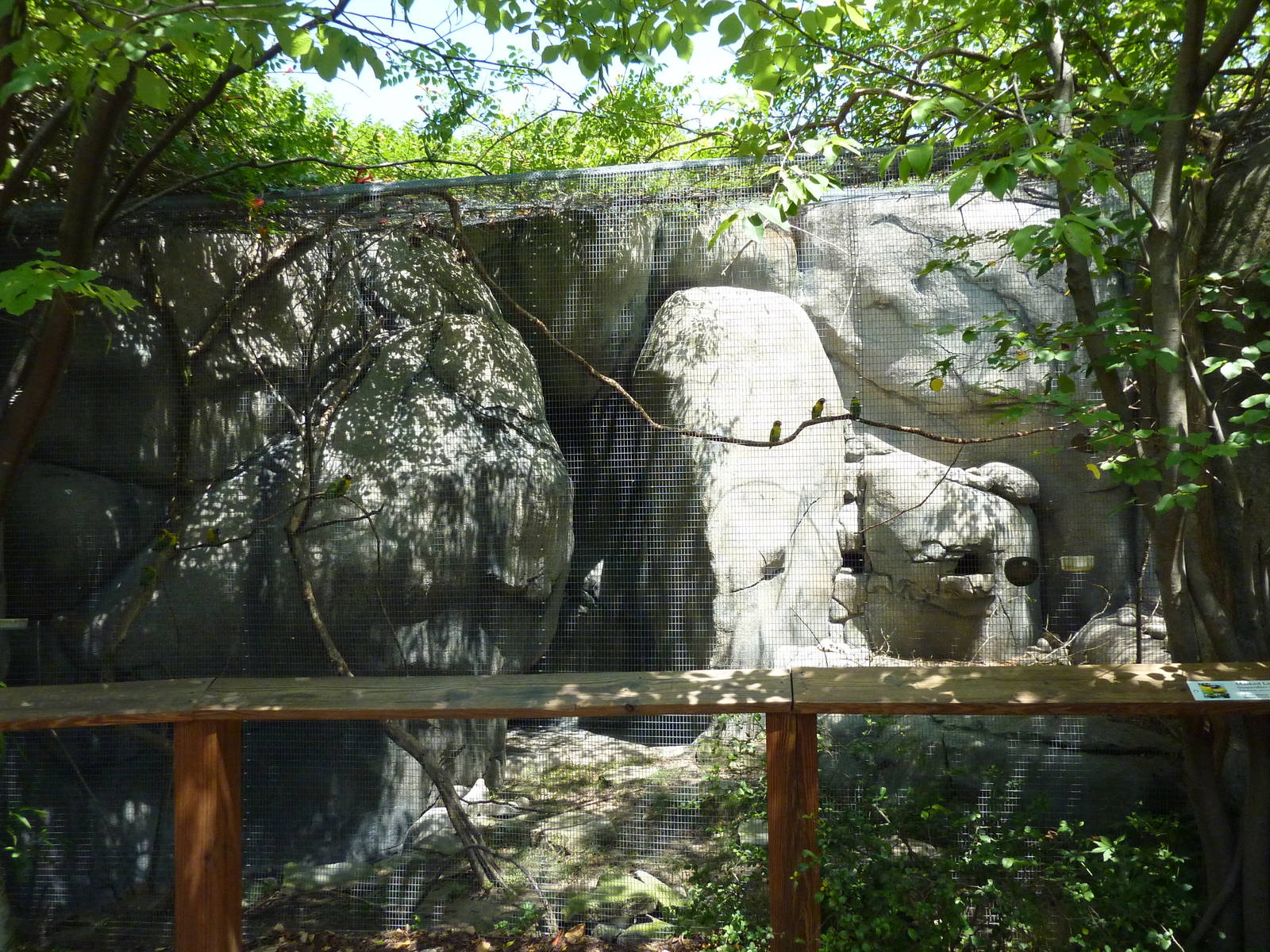 Masked Lovebird/Rock Hyrax Exhibit
