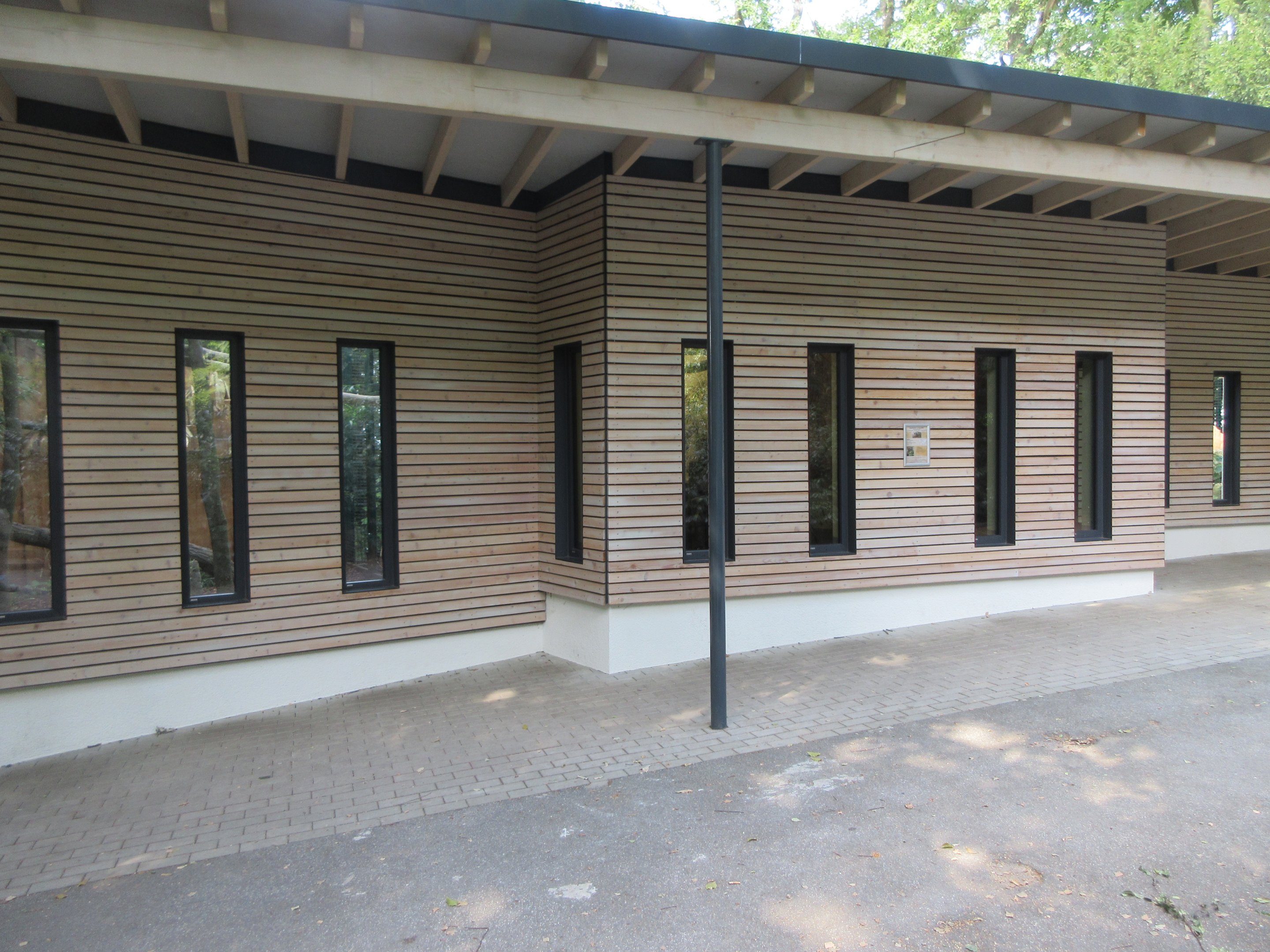 Masked Palm Civet Exhibit