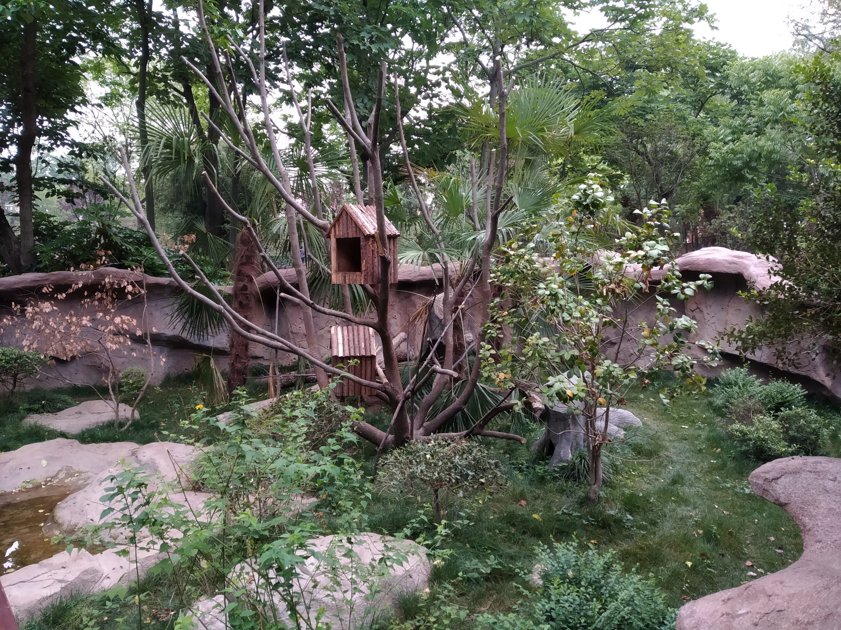 Masked Palm Civet Exhibit