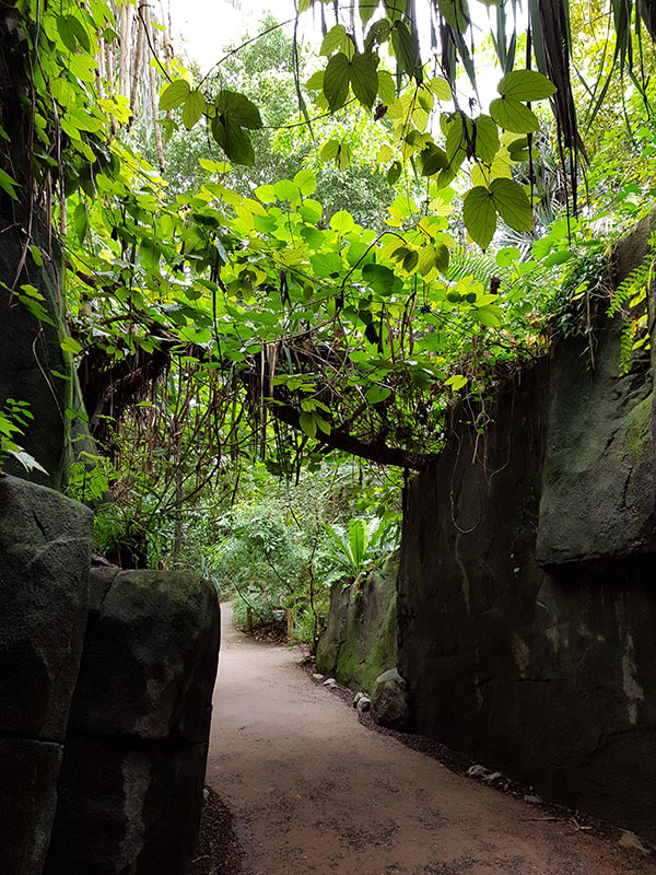 Masoala: Entrance cave