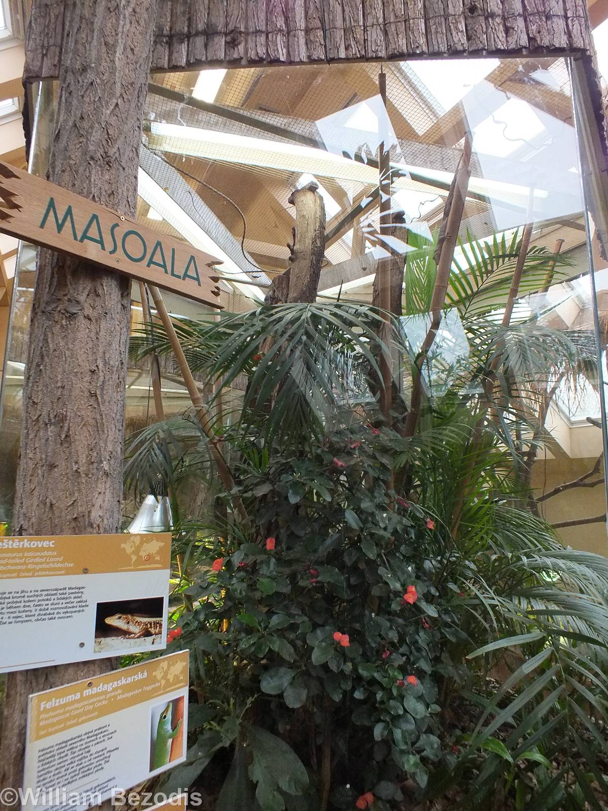 Masoala Exhibit