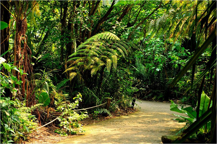 Masoala-hall at Zürich Zoo