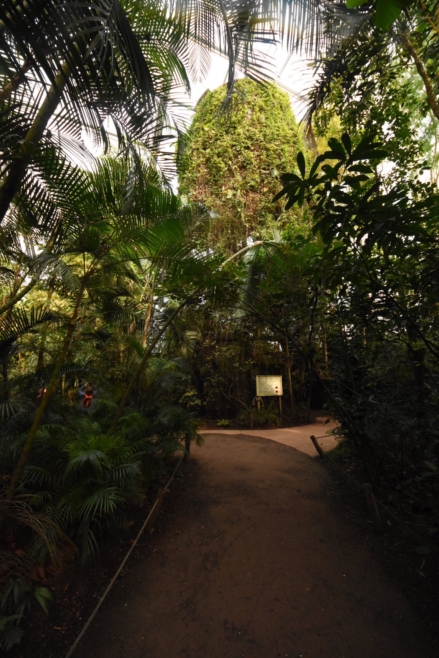 Masoala hall - Treetop walk