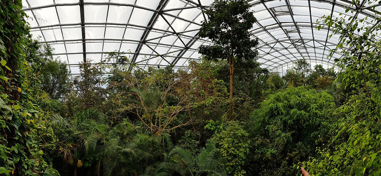 Masoala mid-level panorama