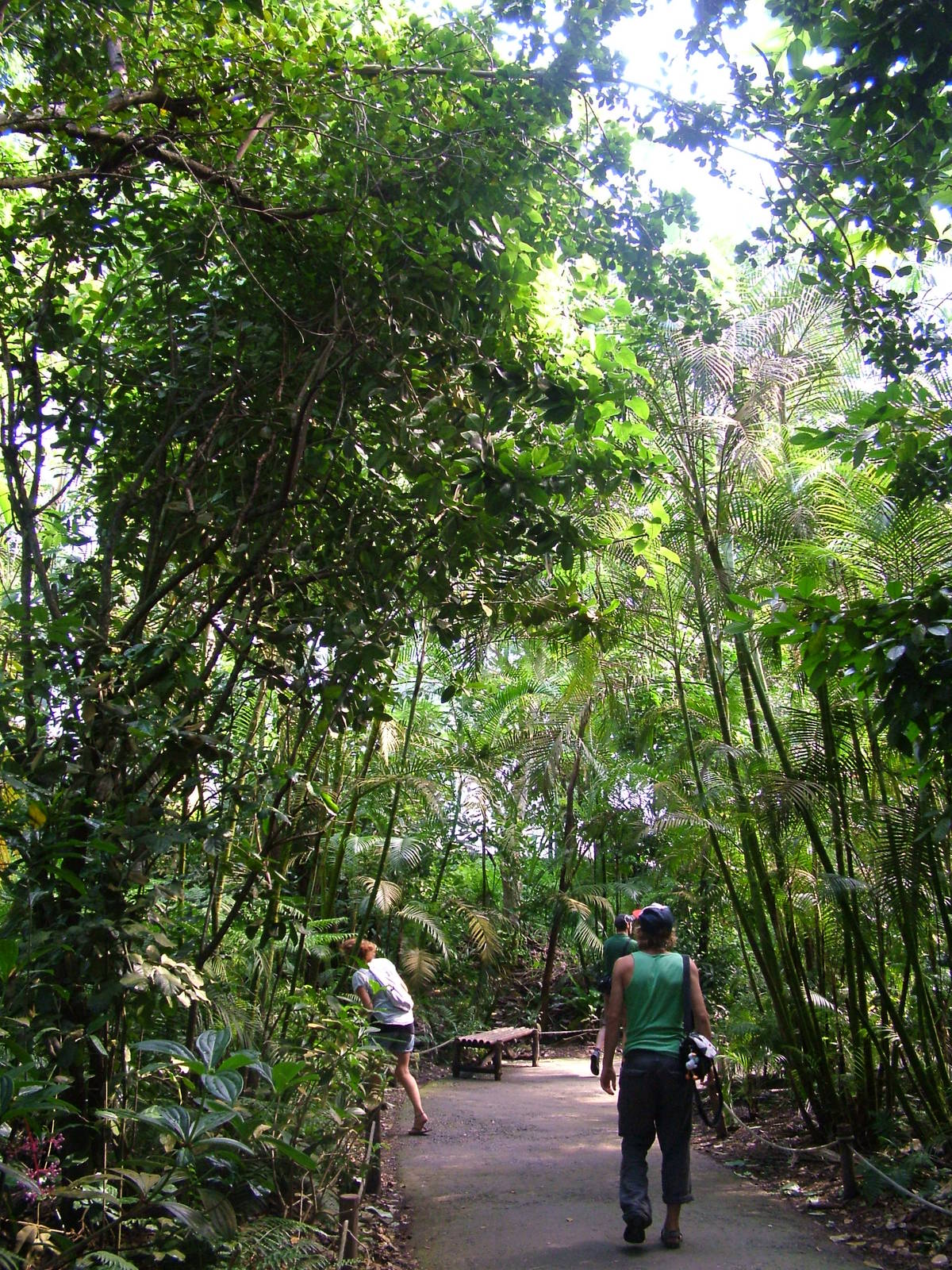 Masoala Rainforest at Zurich 31/08/09