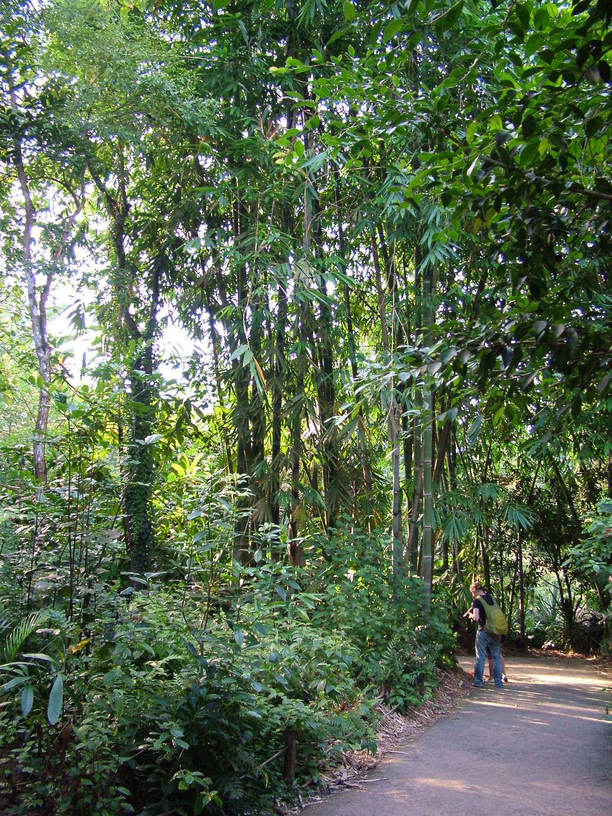 Masoala Rainforest at Zurich 31/08/09