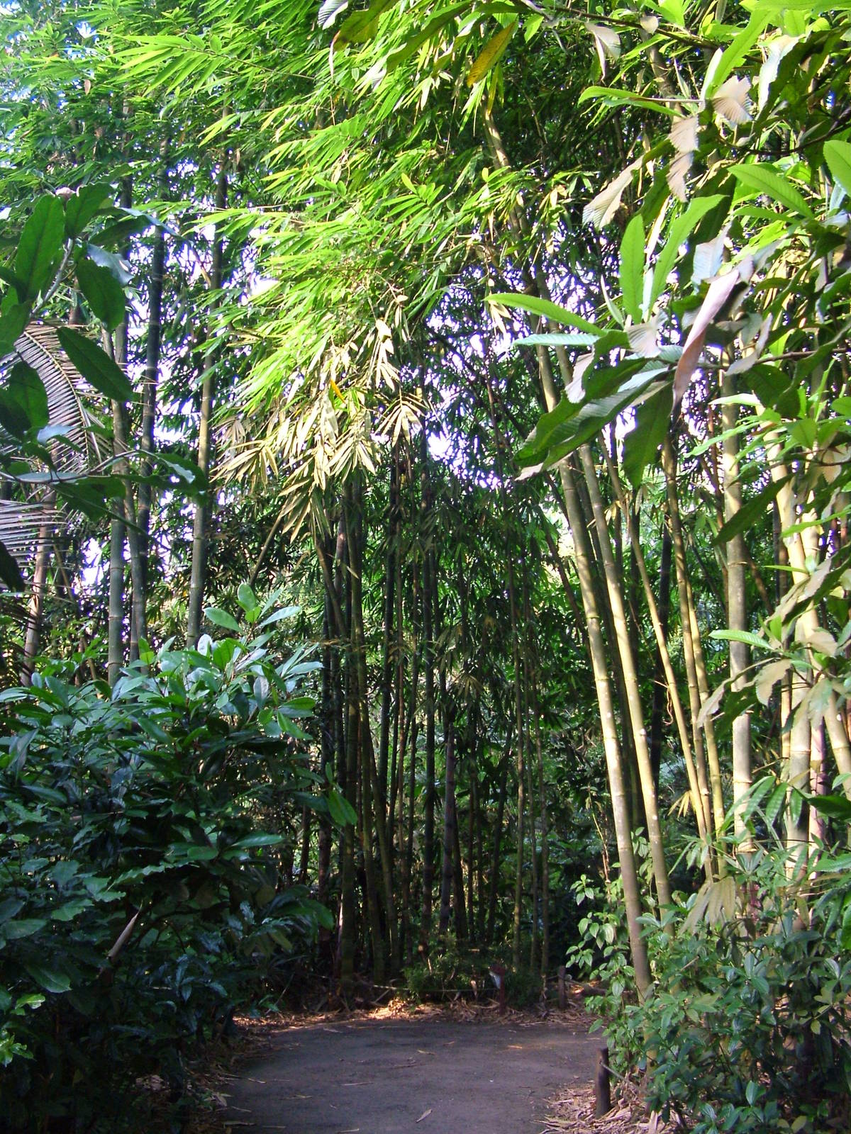 Masoala Rainforest at Zurich 31/08/09