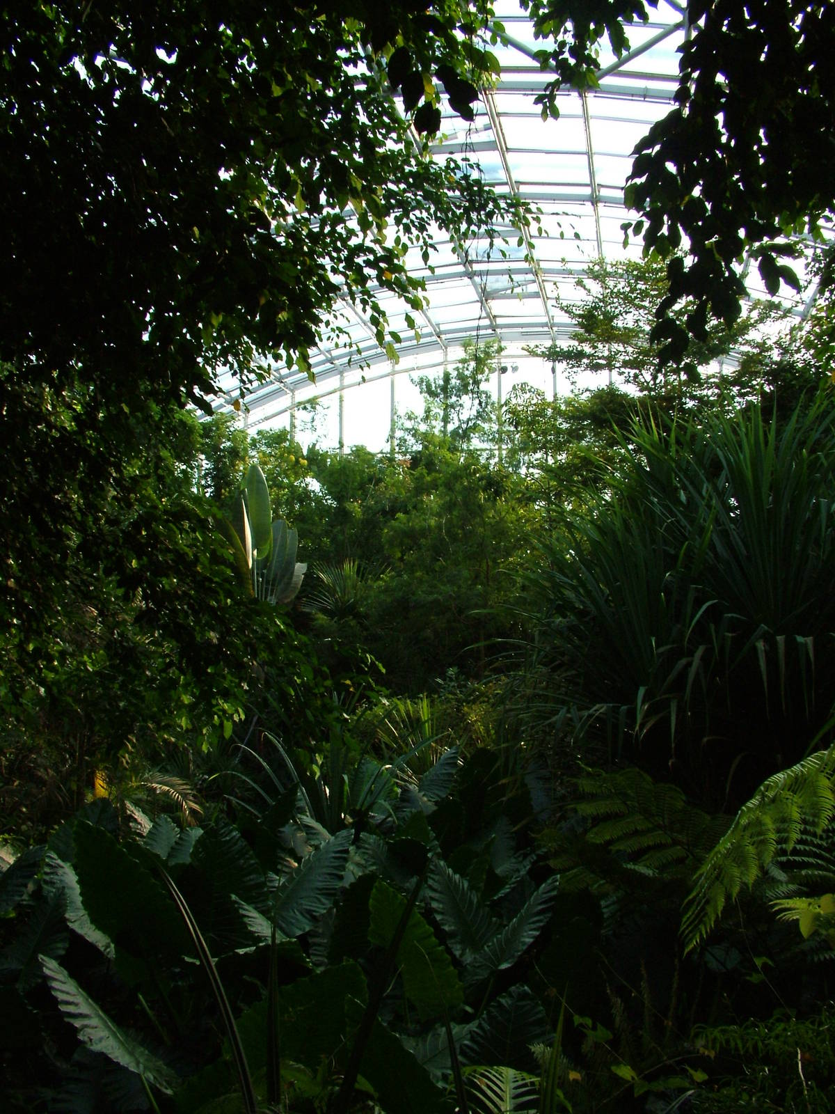 Masoala Rainforest at Zurich 31/08/09