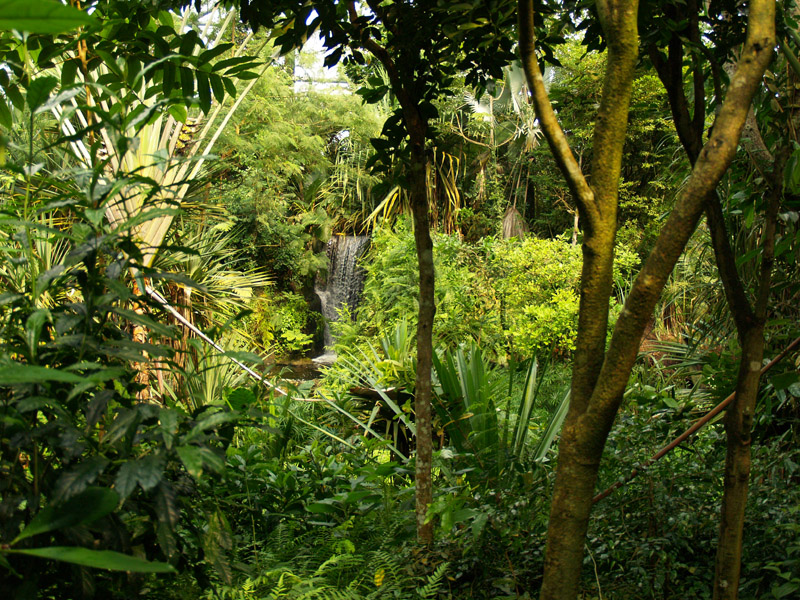 Masoala - Zoo Zürich