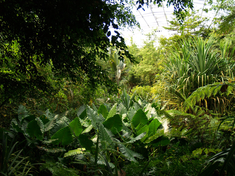Masoala - Zoo Zürich