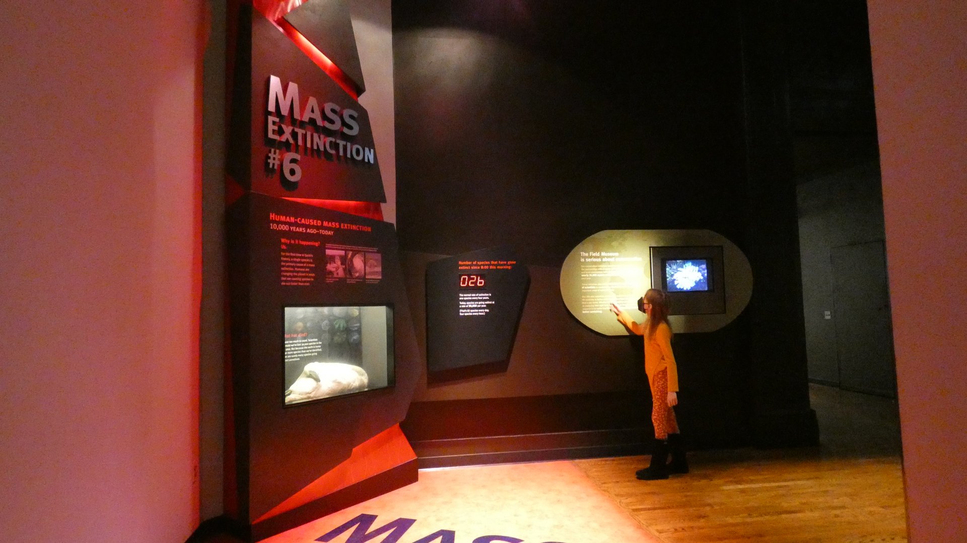 Mass Extinction #6, Our Future, Evolving Planet - Feb. 2022