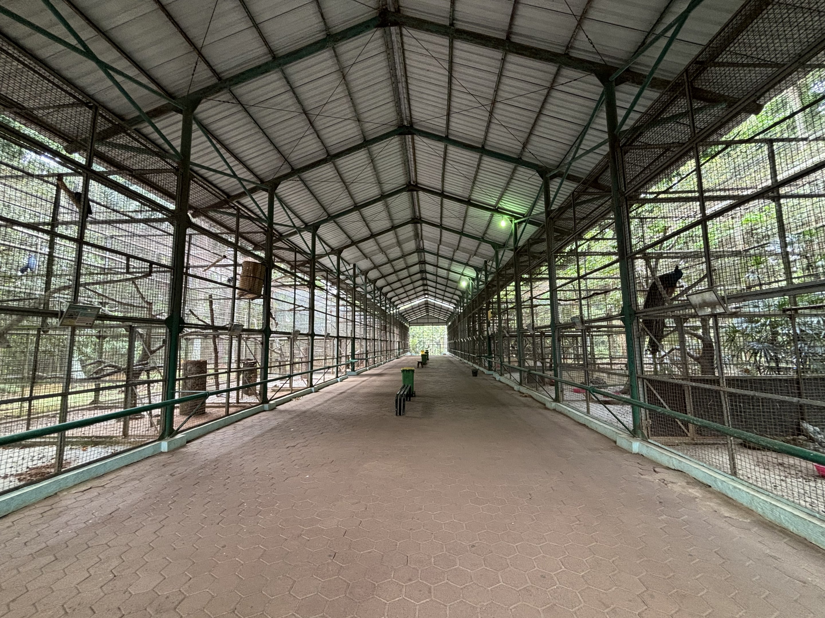 Massive Aviary Complex - rows of cages