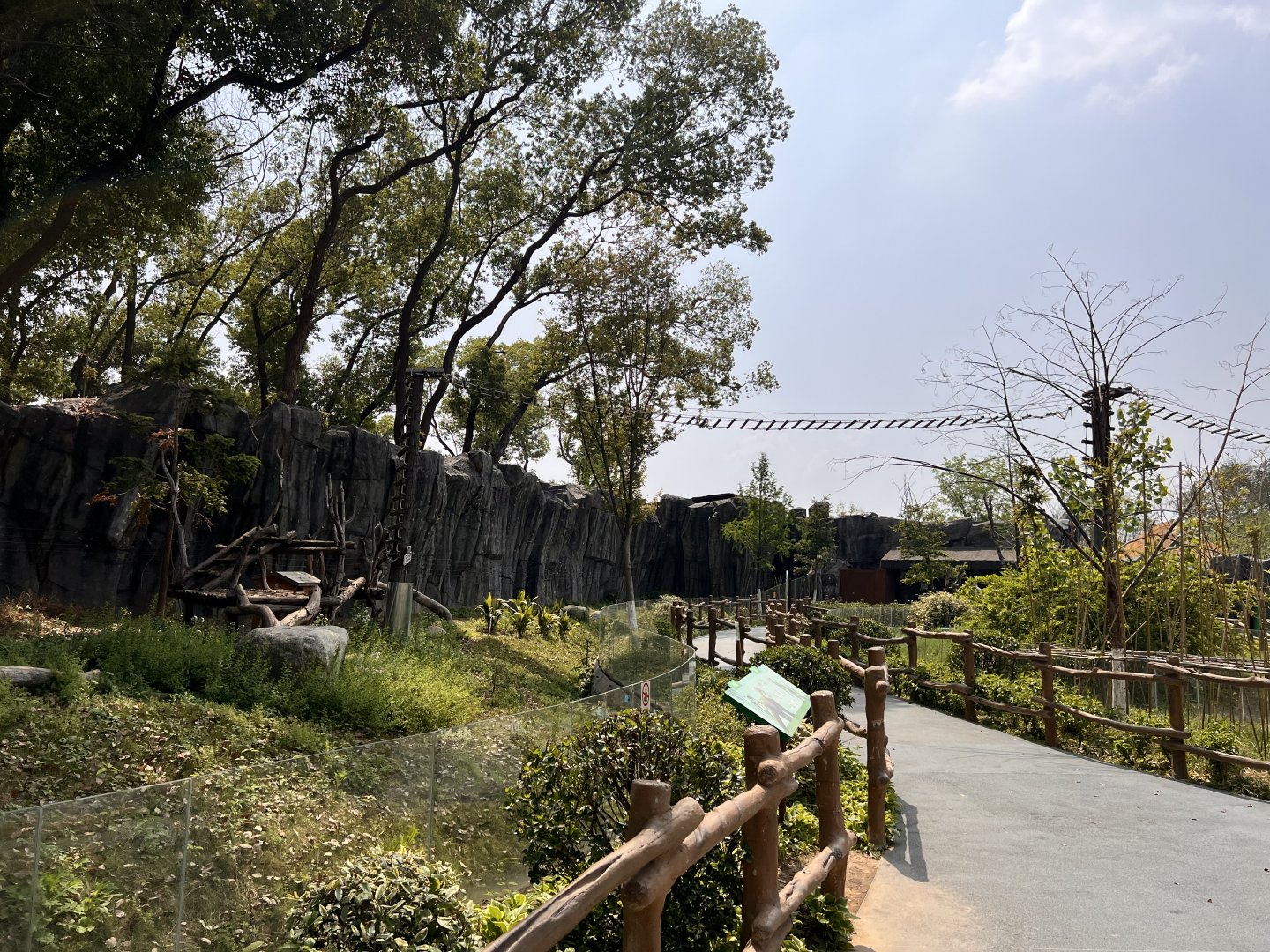 Massive Chinese Red Panda Exhibit