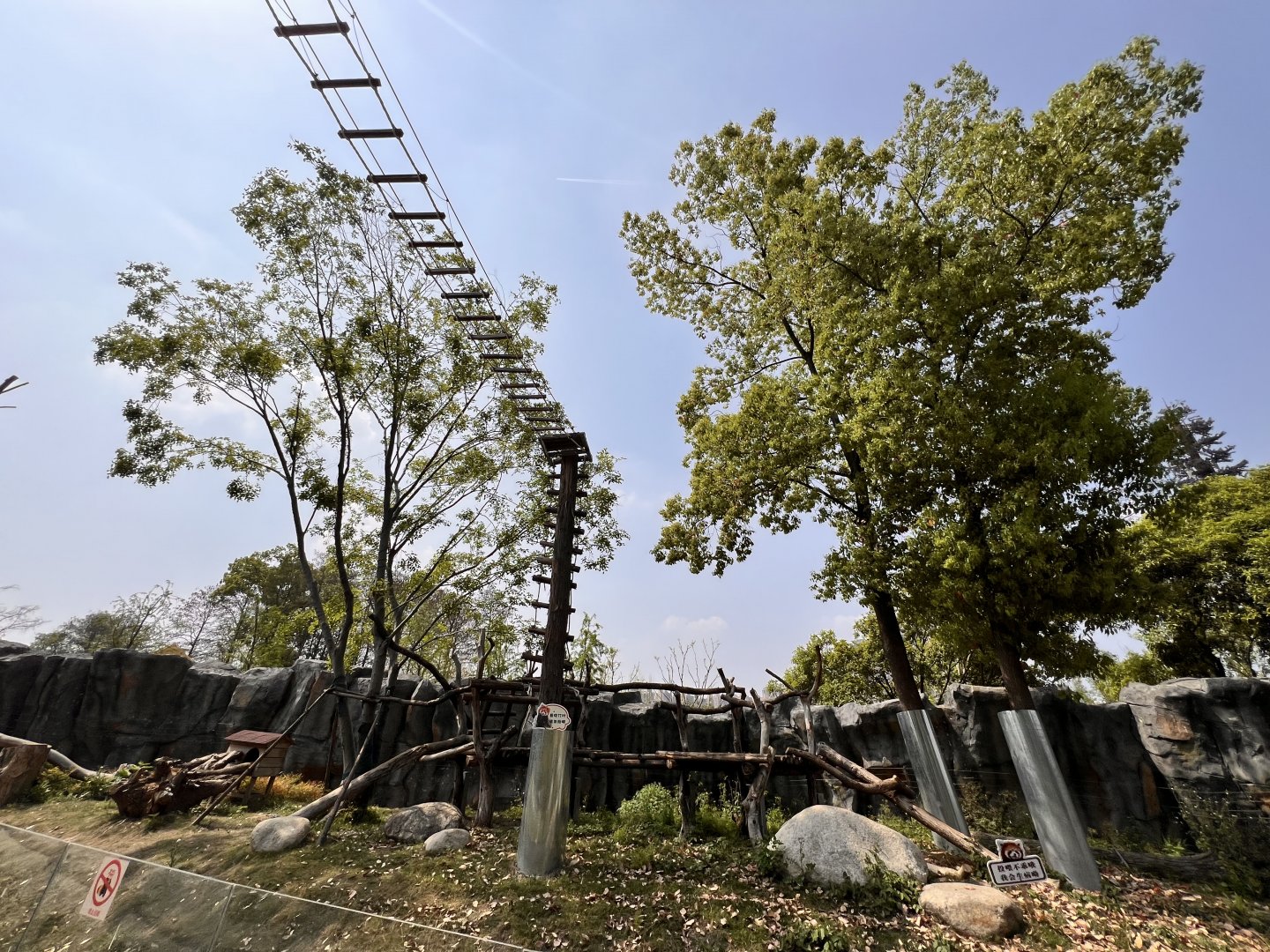 Massive Chinese Red Panda Exhibit