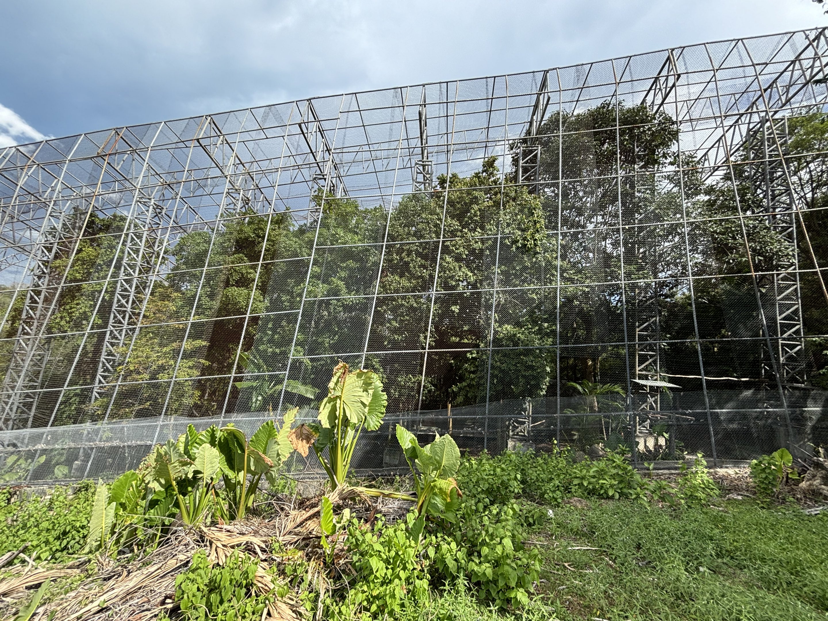 Massive Hornbill Breeding Center (closed to the public)