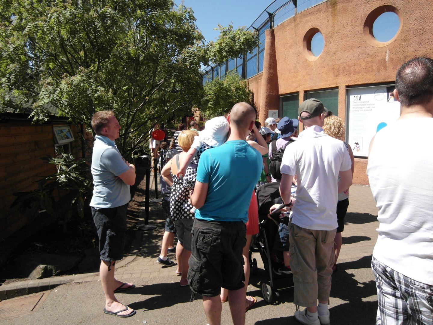 Massive Line-Up to see the Giant Pandas - Edinburgh Zoo