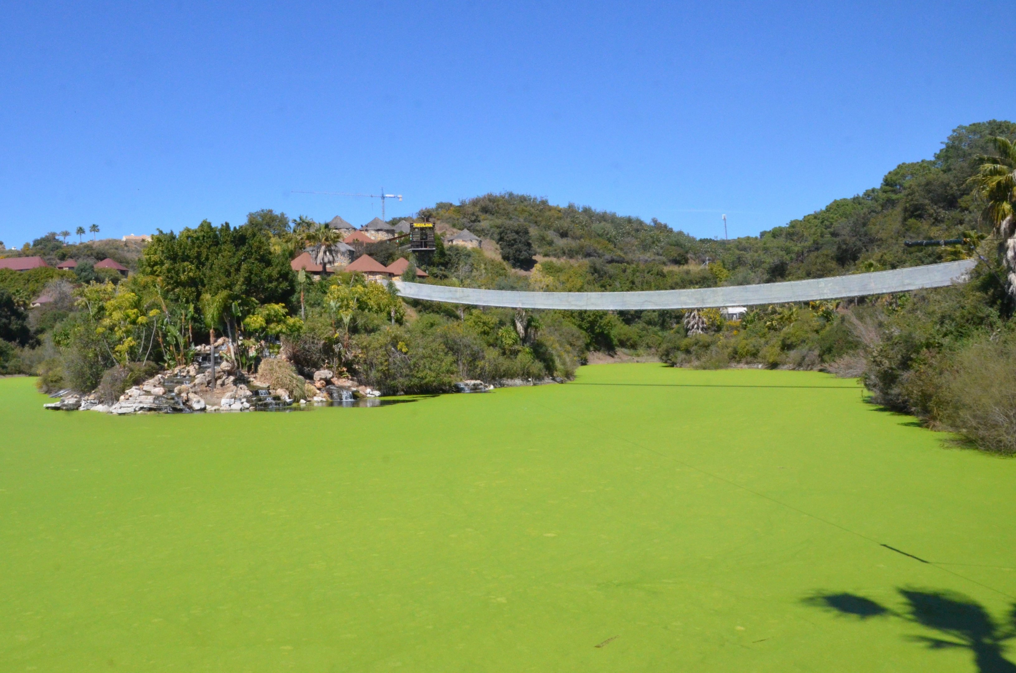 Massive Wobbly Bridge at Selwo Aventura, 13/03/19