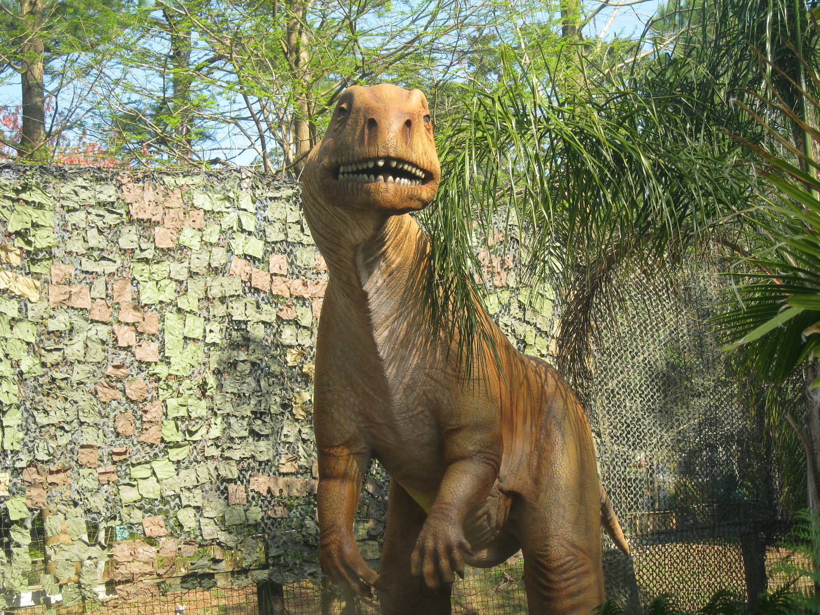 Massospondylus