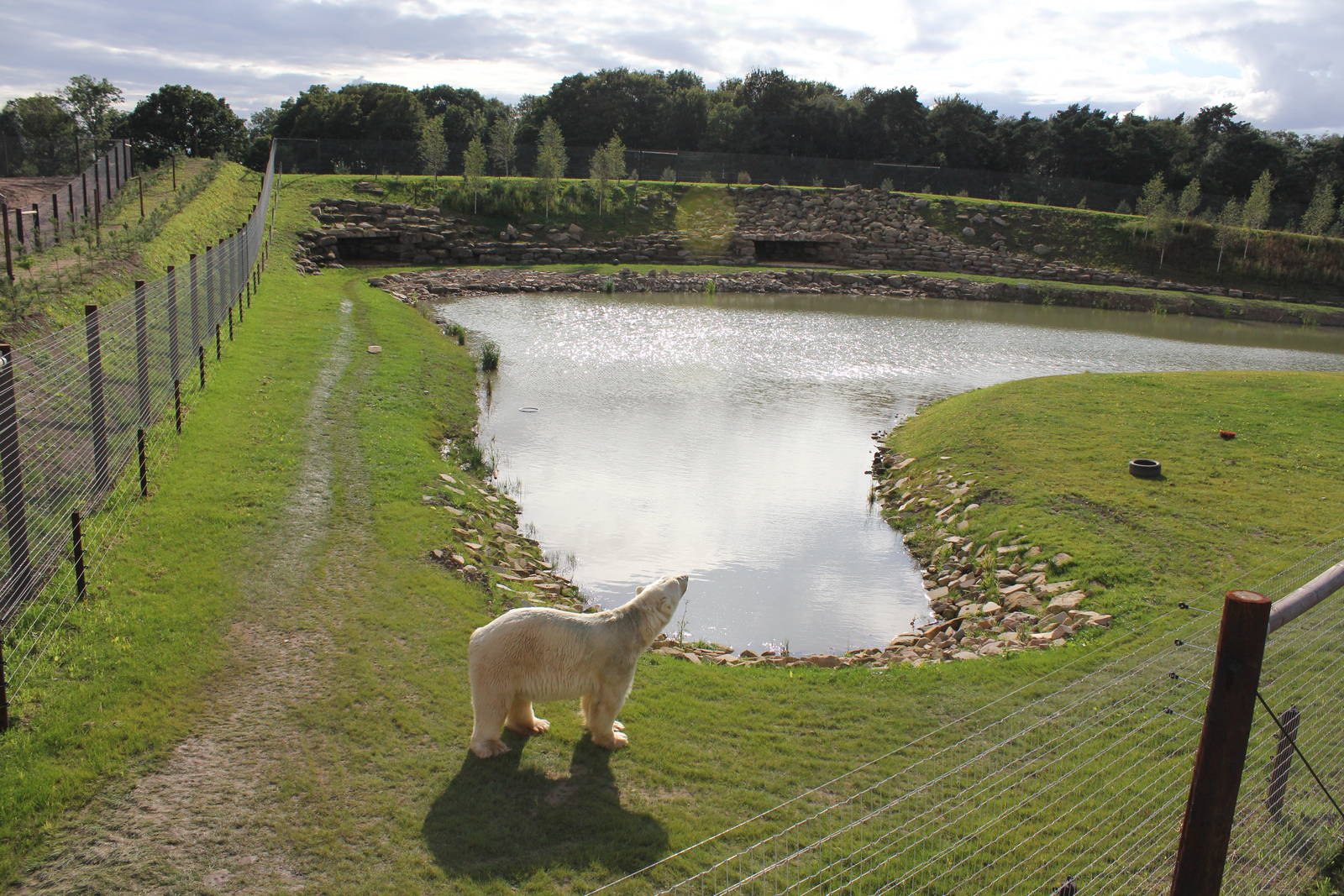 Master of all he surveys. 19-8-14